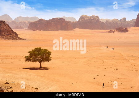 Wüste Wadi Rum, Jordanien Stockfoto