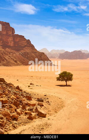 Wüste Wadi Rum, Jordanien Stockfoto