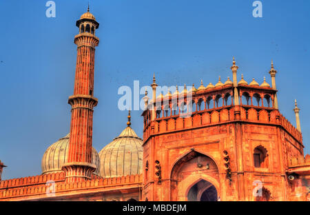 Jama Masjid, die größte Moschee von Delhi, Indien Stockfoto