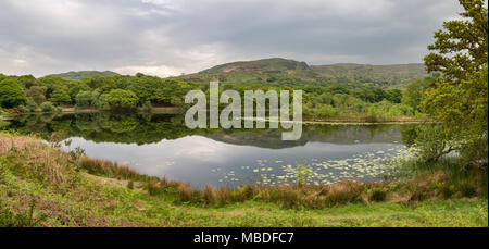 Llyn Tecwyn Isaf, einem wunderschönen natürlichen See in den Bergen von Snowdonia, North Wales, UK. Stockfoto