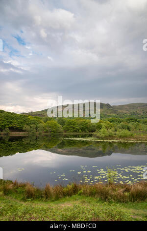 Llyn Tecwyn Isaf, einem wunderschönen natürlichen See in den Bergen von Snowdonia, North Wales, UK. Stockfoto