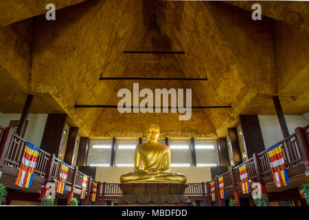 Die 10 Meter hohe goldene Statue von Buddha im Lotussitz, in der großen Pagode von Bois de Vincennes sitzt, ist die höchste in Europa. Stockfoto