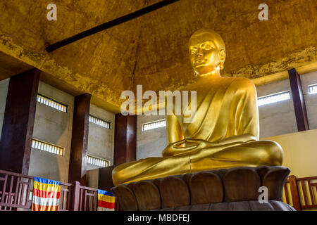 Die 10 Meter hohe goldene Statue von Buddha im Lotussitz, in der großen Pagode von Bois de Vincennes sitzt, ist die höchste in Europa. Stockfoto