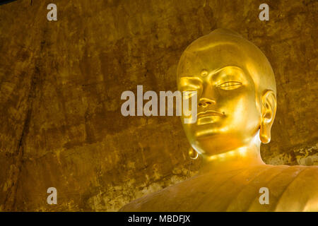 Die 10 Meter hohe goldene Statue von Buddha im Lotussitz, in der großen Pagode von Bois de Vincennes sitzt, ist die höchste in Europa. Stockfoto