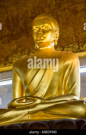 Die 10 Meter hohe goldene Statue von Buddha im Lotussitz, in der großen Pagode von Bois de Vincennes sitzt, ist die höchste in Europa. Stockfoto