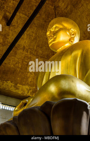 Die 10 Meter hohe goldene Statue von Buddha im Lotussitz, in der großen Pagode von Bois de Vincennes sitzt, ist die höchste in Europa. Stockfoto