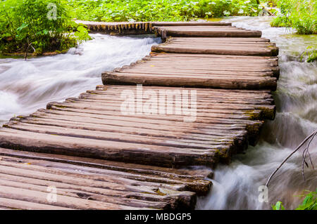 Holz- Pfad durch die rauhen streams Erhöhten Stockfoto