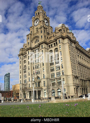 Zeichen der Feder unter Fluffy Clouds wie die Krokusse blühen vor dem Royal Liver Building am Ufer der Mersey Liverpool Stockfoto