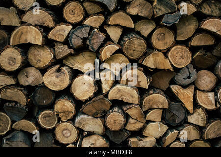 Brennholz in Woodpile Stockfoto