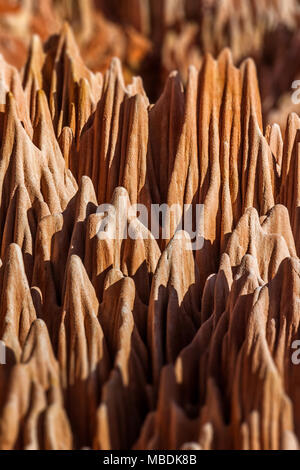 Die Red tsingy von Antsiranana (Diego Suarez), Madagaskar. Natürliche Karste aus Sandstein, Mergel und Kalkstein Stockfoto