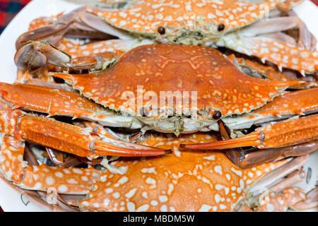 Kochen Krebse, Krabben in einer Platte gekocht. Stockfoto