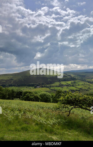 Blick auf wenig Mell fiel, Nationalpark Lake District, Cumbria County, England, Großbritannien Stockfoto