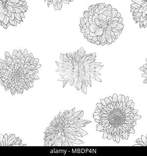 Schöne monochrom Skizze, Schwarze und Weiße Dahlie Blume nahtlose wallpaper Stockfoto