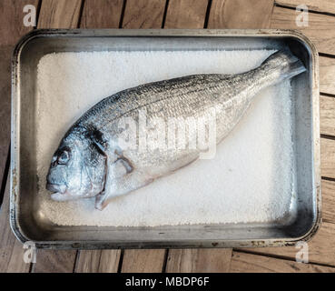Dorada (Goldbrasse, SPARUS AURATA) Fisch auf dem Bett von Salz vor, in grobem Meersalz abgedeckt und im Ofen zubereitet. Stockfoto