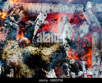 Feuerzeremonie mit Angeboten von nur pflanzlichen Ursprungs während der Guru Purnima Stockfoto