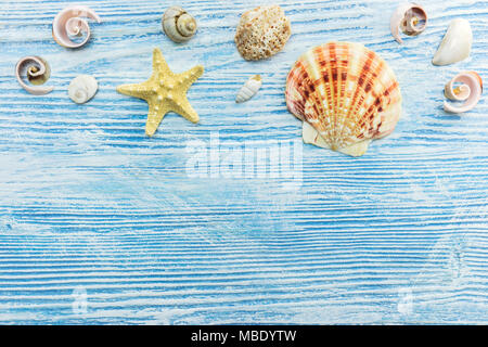 Muscheln und Seesterne auf blauen Brettern. Sommerferien Konzept Hintergrund. Ansicht von oben Stockfoto