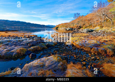 Eine sonnige, Herbst Blick auf Loch Sunart in den schottischen Highlands, als die ersten Anzeichen des Winters erscheinen. Stockfoto