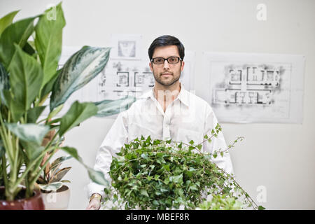 Hispanic Mann in einem Architekturbüro in der Nähe von großen Büro Pflanzen. Stockfoto