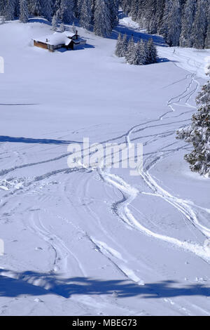 Mehrere Skipisten im Schnee Stockfoto