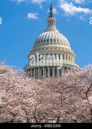 Das US Capitol Dome in Washington DC Stockfoto