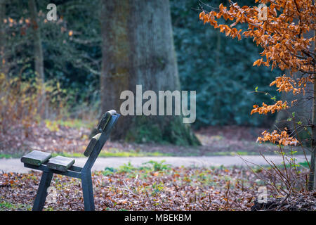 Einsame Parkbank Stockfoto