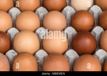 Frische Hühnereier in verschiedenen Farben direkt vom Bauernhof Stockfoto