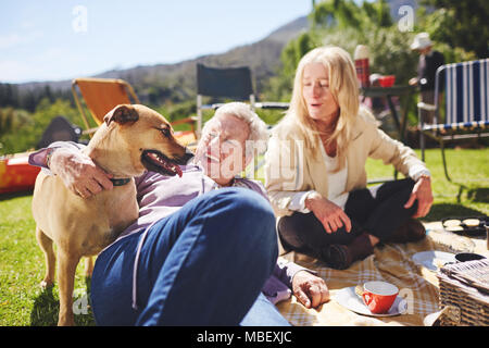 Gerne aktiver älterer Frauen und Hund genießt sonnigen Sommer Picknick Stockfoto