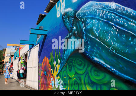 Frau auf den Markt, La Crucesita Stadt, Huatulco, Oaxaca, Mexiko Stockfoto