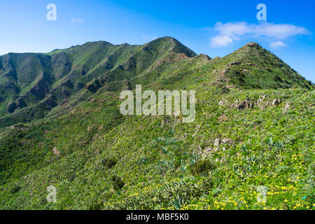 Den Berg Macizo de Teno Gebirge in Teneriffa, Kanarische Inseln Stockfoto