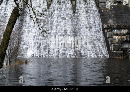 Lake Vyrnwy Damm in Powys, Wales auf einem frühen Frühling mit Wasser nach unten kaskadieren Überlaufen der Damm, durch Äste mit Knospen im Vordergrund. Stockfoto