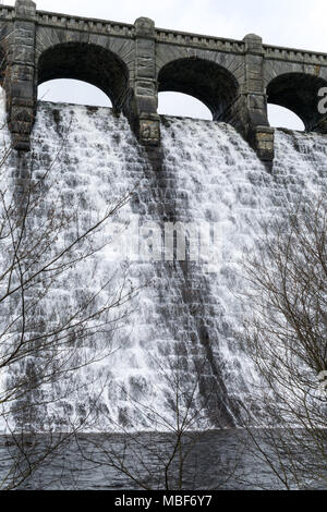 Lake Vyrnwy Damm in Powys, Wales auf einem frühen Frühling mit Wasser nach unten kaskadieren Überlaufen der Damm, durch Äste mit Knospen im Vordergrund. Stockfoto