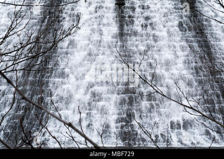 Lake Vyrnwy Damm in Powys, Wales auf einem frühen Frühling mit Wasser nach unten kaskadieren Überlaufen der Damm, durch Äste mit Knospen im Vordergrund. Stockfoto