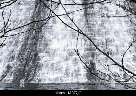 Lake Vyrnwy Damm in Powys, Wales auf einem frühen Frühling mit Wasser nach unten kaskadieren Überlaufen der Damm, durch Äste mit Knospen im Vordergrund. Stockfoto