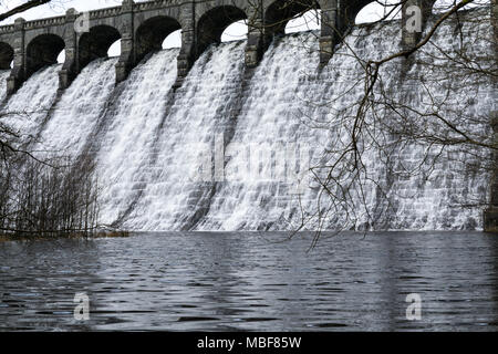 Lake Vyrnwy Damm in Powys, Wales auf einem frühen Frühling mit Wasser nach unten kaskadieren Überlaufen der Damm, durch Äste mit Knospen im Vordergrund. Stockfoto