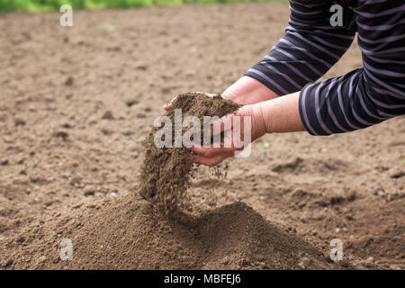 Alte Frau hält in ihrer Hände viel Boden Stockfoto