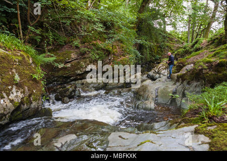 Der Fotograf untersucht das fotografische Potenzial einer kleinen Kaskade auf Aira Beck, Lake District, Cumbria, Großbritannien Stockfoto