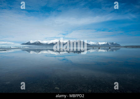 Dichtungen auf Eis Am Gletschersee Jökulsárlón Gletscherlagune während der sonnigen Tag mit Bergen im Hintergrund, im Island Stockfoto