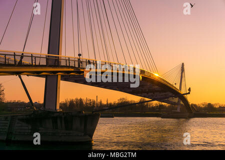 Die moderne Mimram Fußgängerbrücke in 2004 über den Rhein verbindet die Städte Kehl und Straßburg, Frankreich. Stockfoto