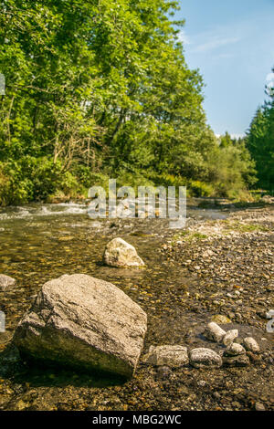 Friedliche Aussicht auf den Felsen in einem ruhigen Fluss im Wald. Vezza d'Oglio, Italien Stockfoto