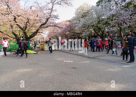 Tokyo, Japan - 31. März 2018: Besucher genießen Kirschblüte in Ueno Park Tokio, Japan in Sakura Festival Stockfoto