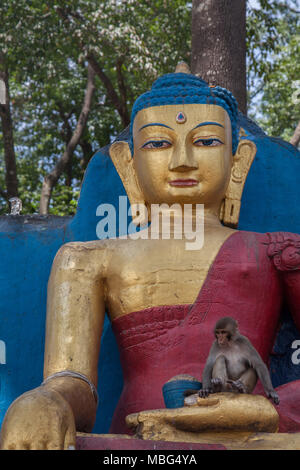 Sitzender Buddha Statue am Swayambunath mit Rhesus macaque Affen Stockfoto