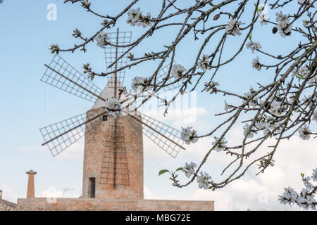 Windmühle auf einem Bauernhof in Algaida auf Mallorca, Spanien. Stockfoto