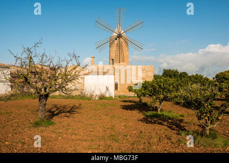 Windmühle auf einem Bauernhof in Algaida auf Mallorca, Spanien. Stockfoto