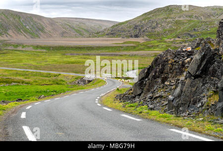 Schafe weiden entlang der Varanger nationale touristische Route, Finnmark, Norwegen Stockfoto