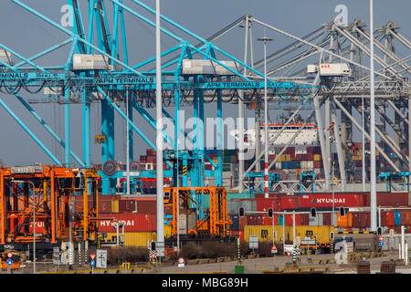 Der Hafen von Rotterdam, Niederlande, Deep-sea port Maasvlakte 2, auf einer künstlich geschaffenen Land Bereich vor der ursprünglichen Küste, APM-Container Stockfoto