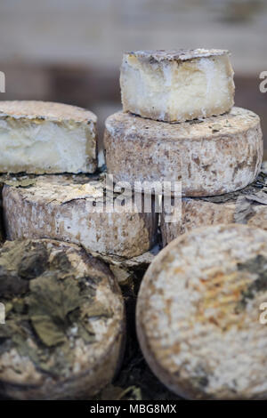 Große Käse Laibe in der Anzeige eines cheesemonger Stockfoto