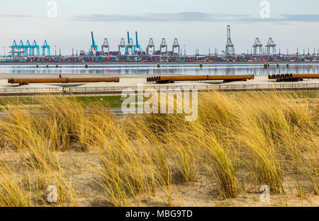 Der Hafen von Rotterdam, Niederlande, Deep-sea port Maasvlakte 2, auf einer künstlich geschaffenen Land Bereich vor der ursprünglichen Küste, Rotterdam Worl Stockfoto