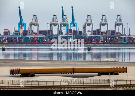 Der Hafen von Rotterdam, Niederlande, Deep-sea port Maasvlakte 2, auf einer künstlich geschaffenen Land Bereich vor der ursprünglichen Küste, Rotterdam Worl Stockfoto