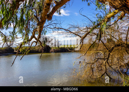Blick auf Herbst Landschaft des Flusses und Bäume im sonnigen Tag in Benavente, Potugal. Stockfoto