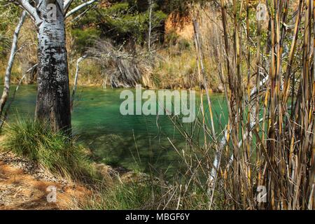 Cabriel Flusses mit kristallklarem Wasser und von grüner Vegetation in den Bergen von Albacete, Spanien umgeben Stockfoto